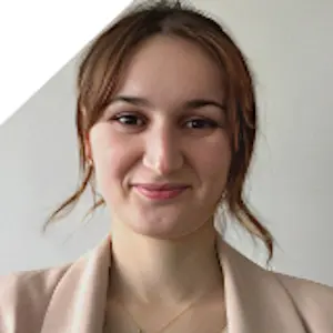 CV Architecte / chef de projet