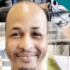 CV économiste de la construction