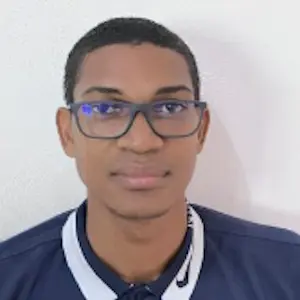 CV Chef de projet