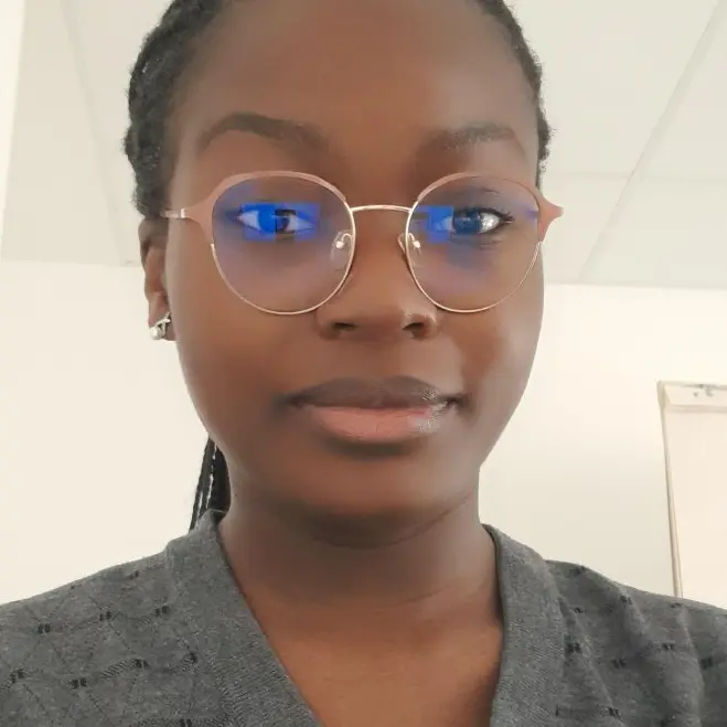 CV Ingénieur supply chain - réf.250228223604