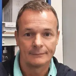 CV Chargé d'affaires