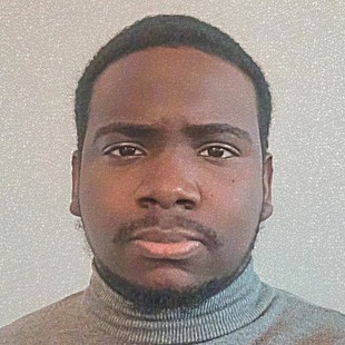CV Gestionnaire en assurances