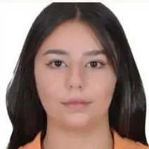 CV Ingénieure en génie civil et btp