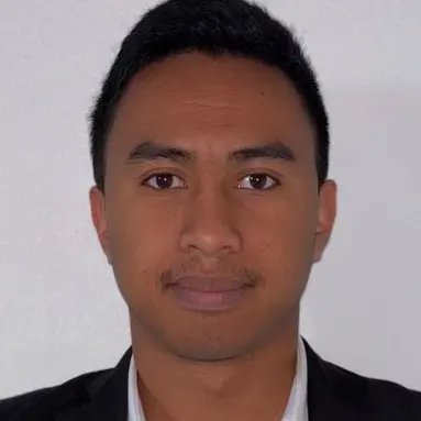 CV Ingénieur logiciel embarqué