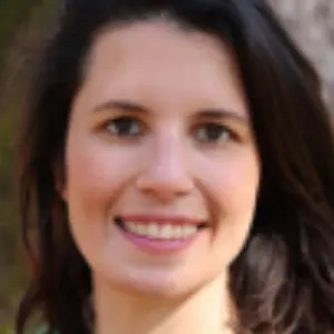CV Ingénieure consultante