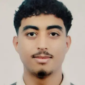 CV Ingénieur en électronique ou informatique