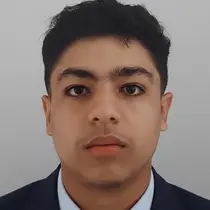 CV Ingénieur en électronique, énergie électrique et automatique