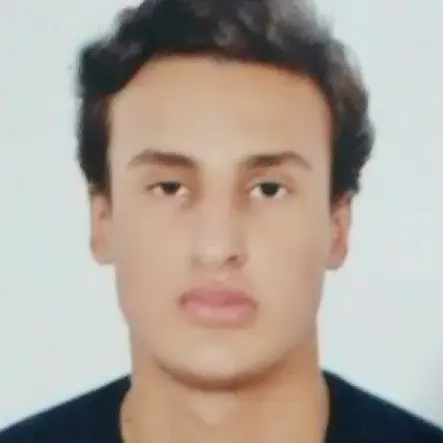 CV Ingénieur qhse