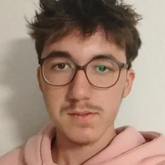 CV Peintre applicateur de revêtement