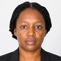CV Consultante en gestion comptable et financière