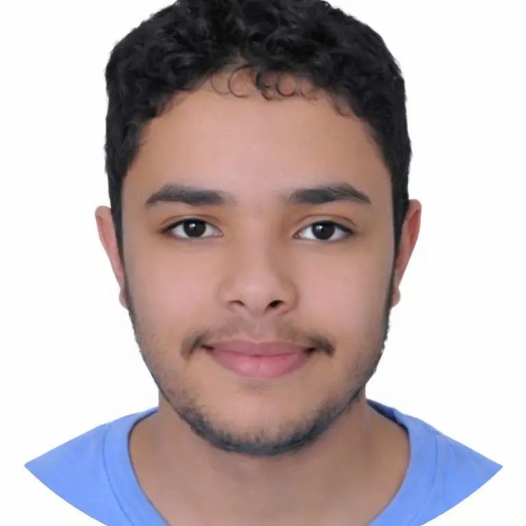 CV Ingénieur en logiciels embarqués