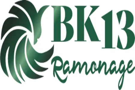 Offre d'emploi Technicien(-ne) chauffage – ramoneur (-se) H/F de Bk13 Ramonage